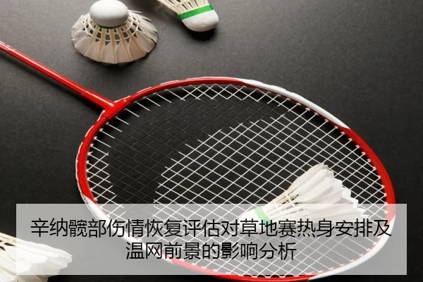 辛纳髋部伤情恢复评估对草地赛热身安排及温网前景的影响分析
